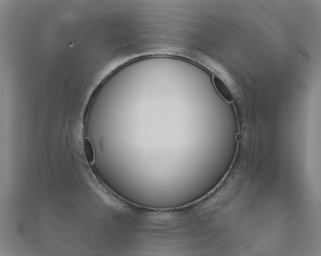 X0000112431332200908141103