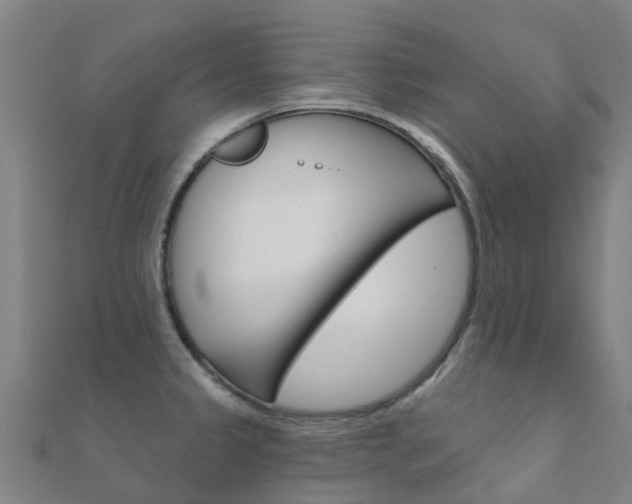 X0000112431333200908141103