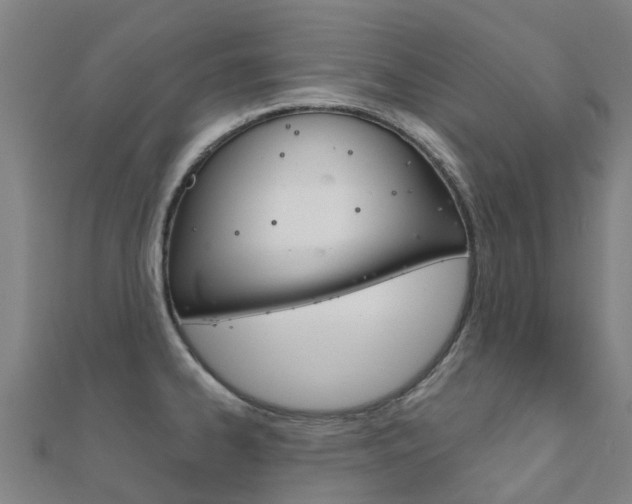 X0000112431334200908141103