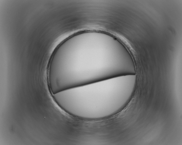 X0000112431335200908141103
