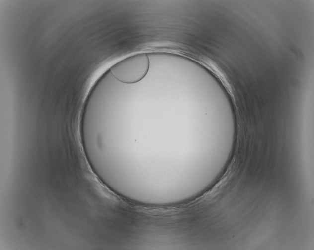 X0000112431336200908141103