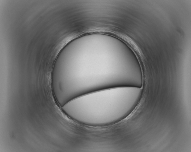 X0000112431337200908141103