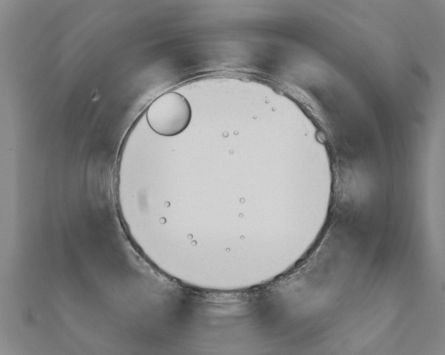 X0000112431338200908141103