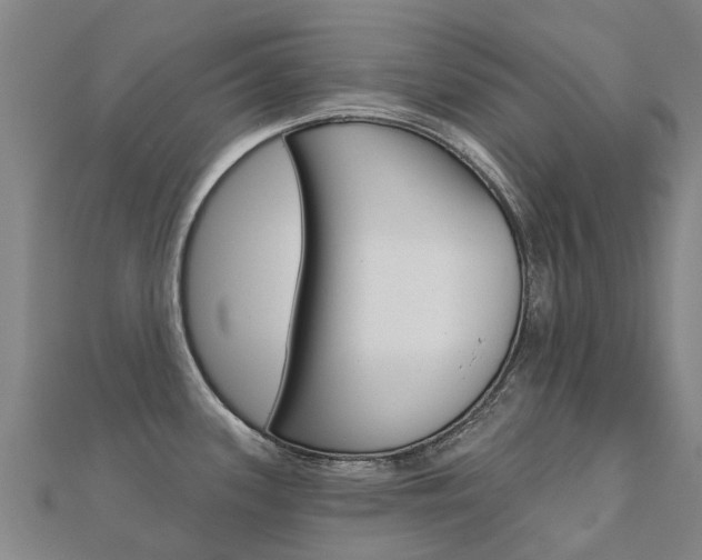 X0000112431339200908141103