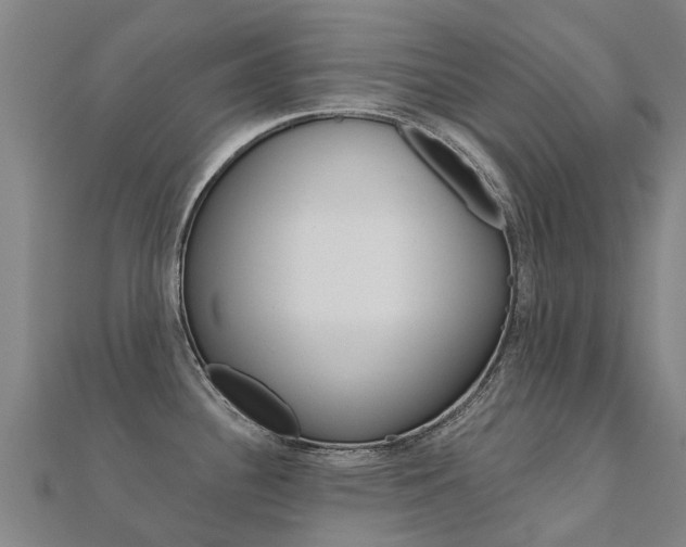 X0000112431340200908141103