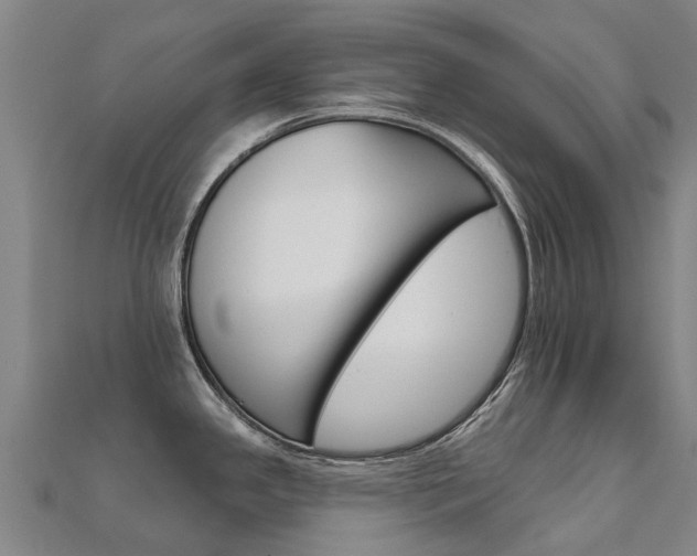 X0000112431341200908141103