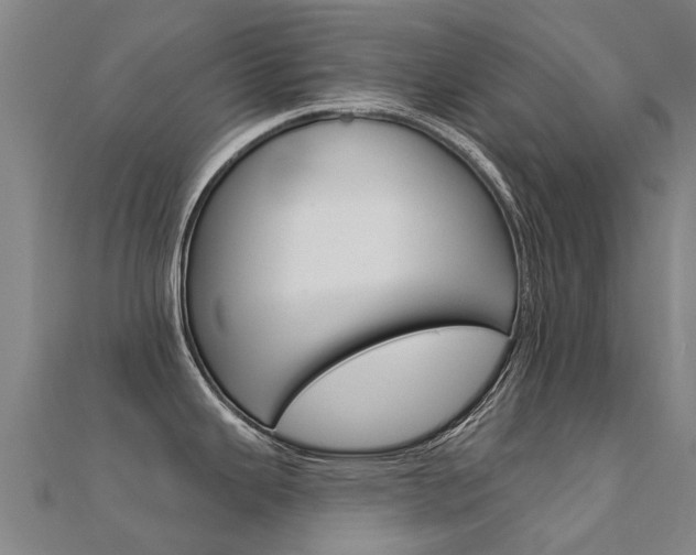 X0000112431343200908141103