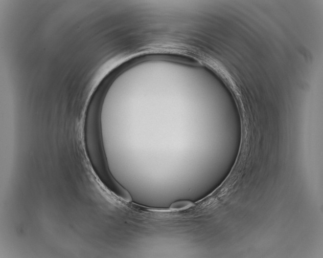 X0000112431344200908141103