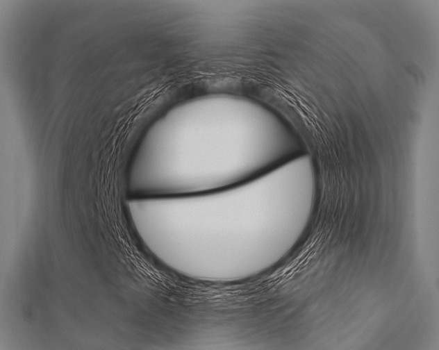X0000112431345200908141102