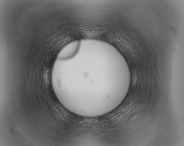 X0000112431346200908141102