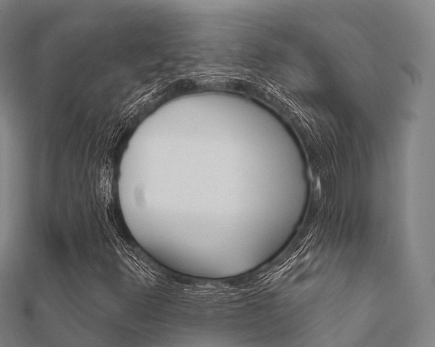 X0000112431348200908141102