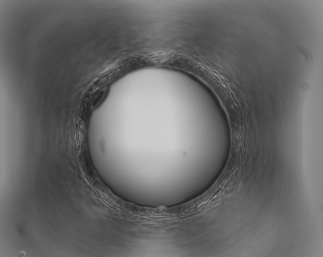 X0000112431349200908141102