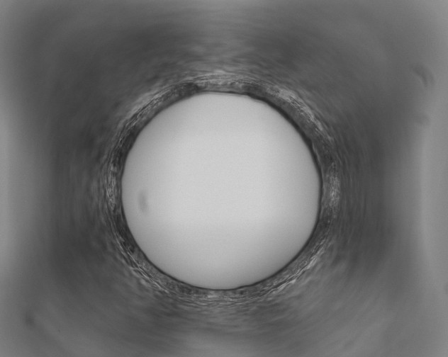 X0000112431350200908141102