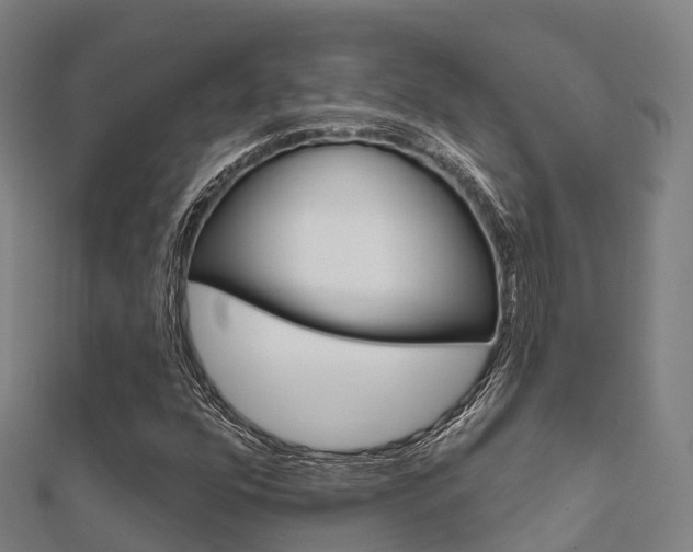 X0000112431352200908141102
