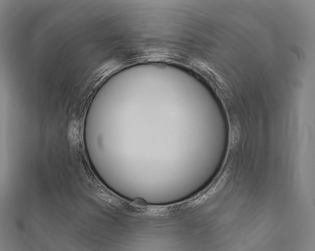X0000112431353200908141102