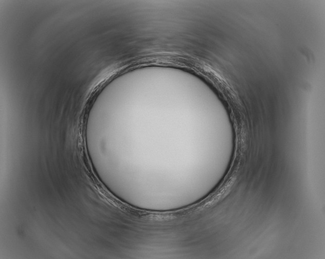 X0000112431354200908141102