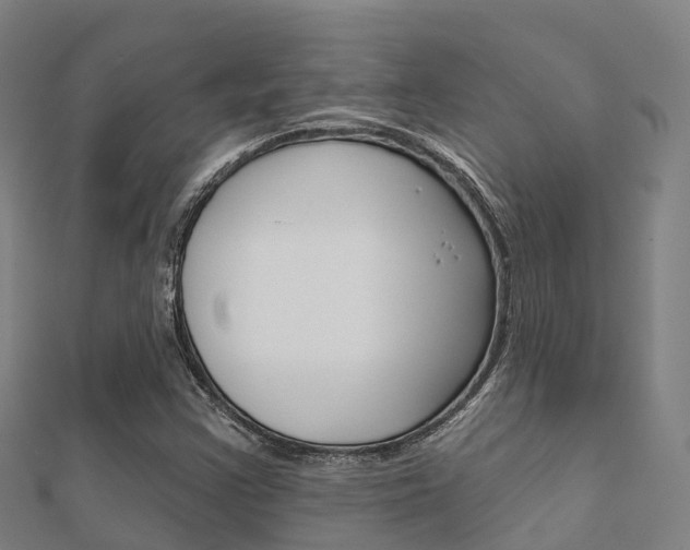 X0000112431355200908141102