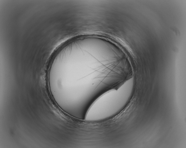 X0000112431356200908141102