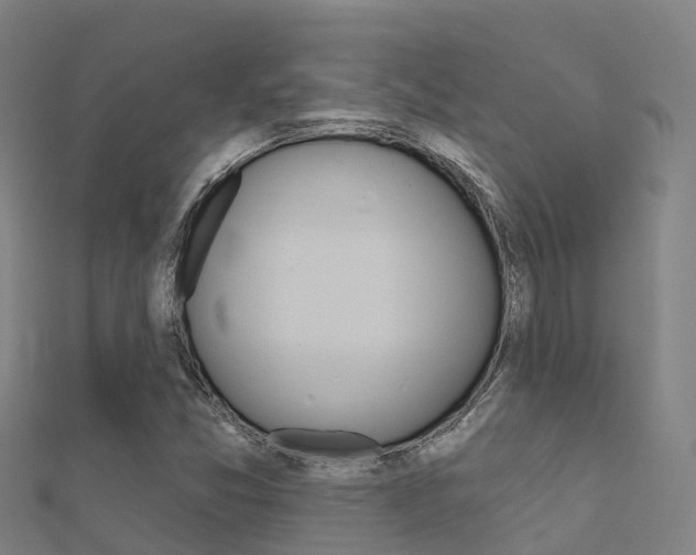 X0000112431357200908141102