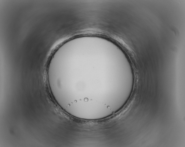 X0000112431358200908141102