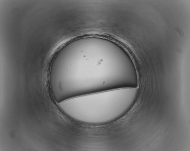 X0000112431359200908141102