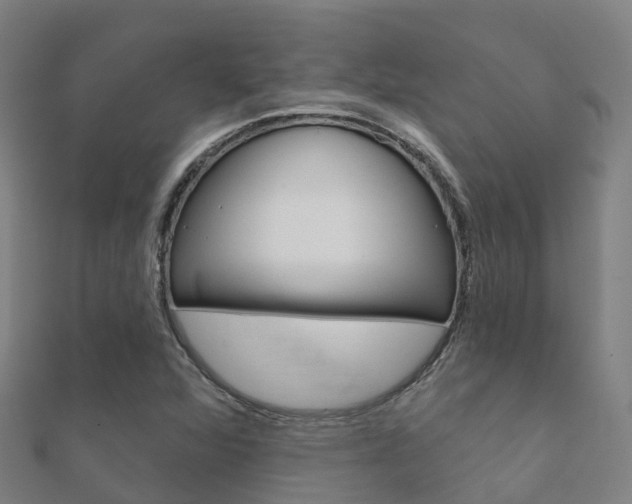 X0000112431360200908141102