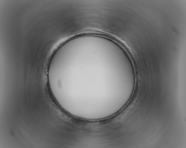 X0000112431363200908141102