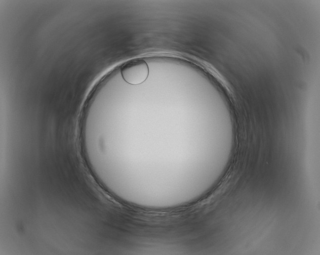 X0000112431364200908141102