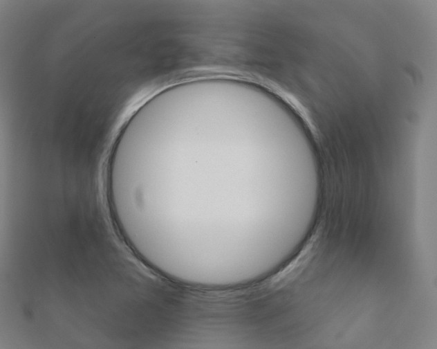 X0000112431365200908141102