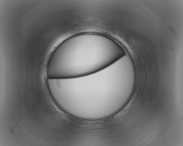X0000112431367200908141102