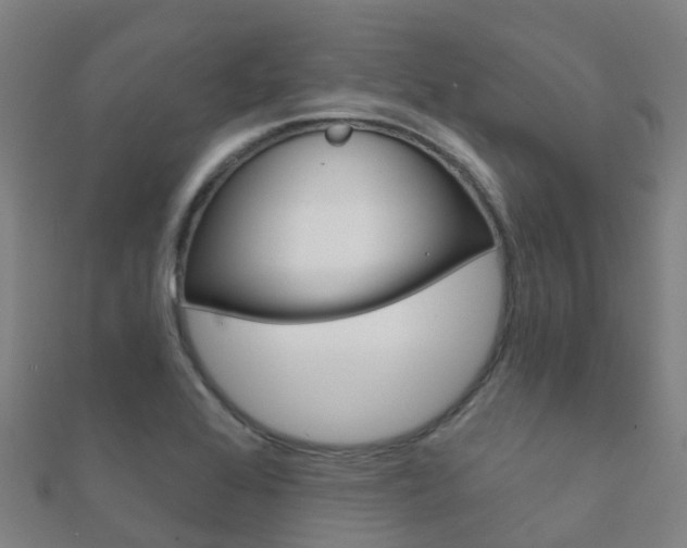 X0000112431368200908141102
