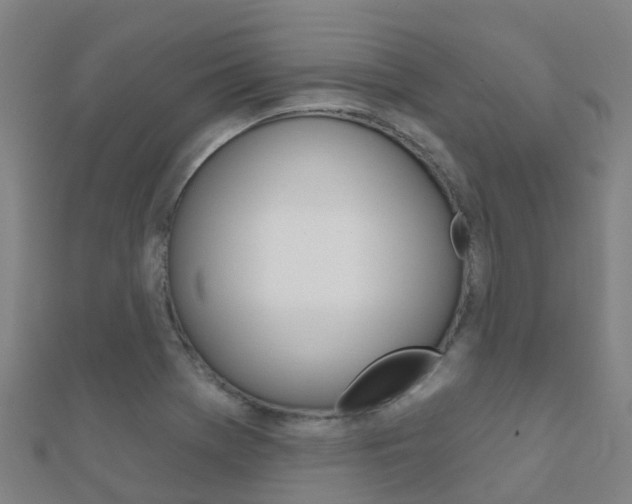 X0000112431369200908141102