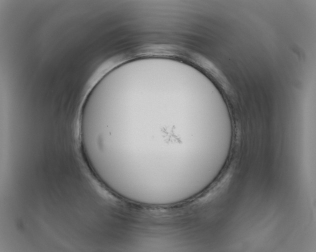 X0000112431370200908141102