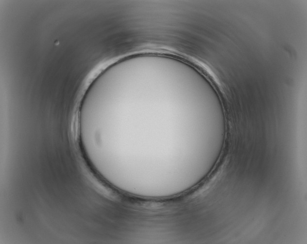 X0000112431371200908141102