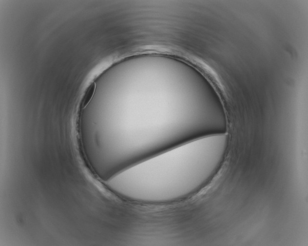 X0000112431373200908141102