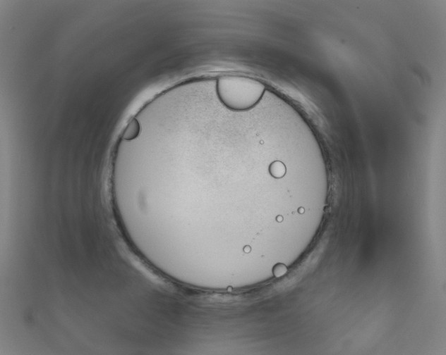 X0000112431374200908141102
