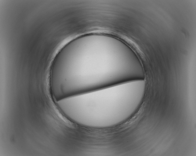 X0000112431375200908141102