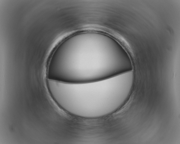 X0000112431376200908141102