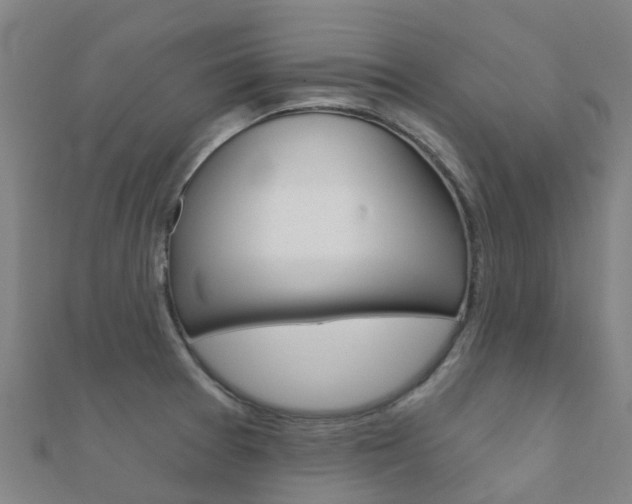 X0000112431377200908141102