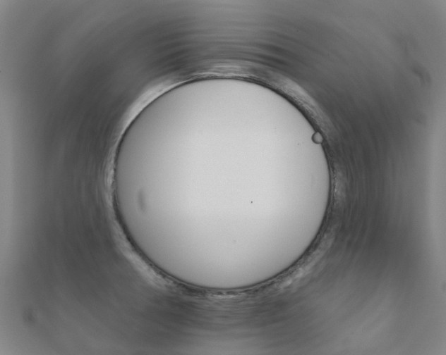 X0000112431378200908141102