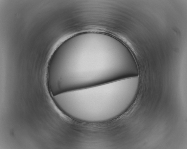 X0000112431379200908141102