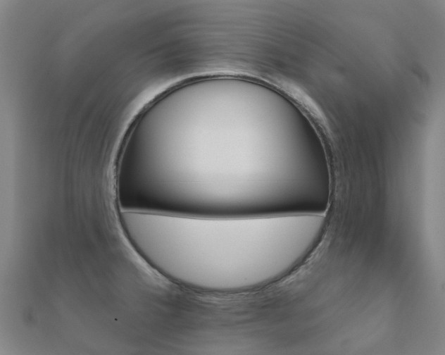 X0000112431380200908141102