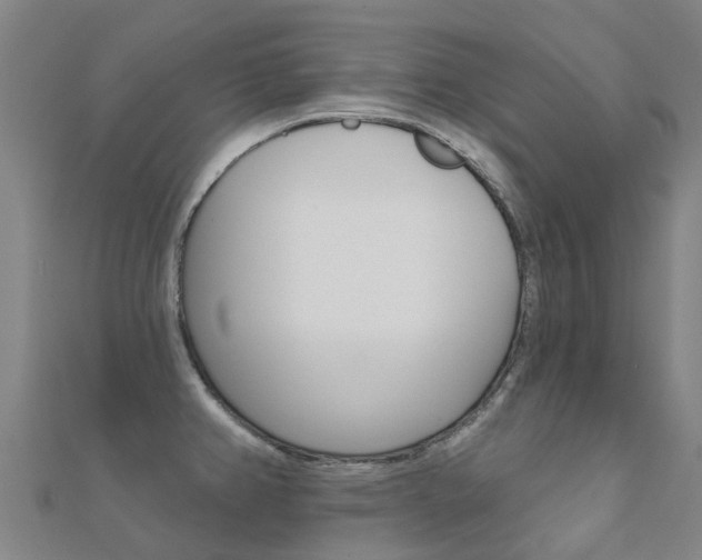 X0000112431382200908141102