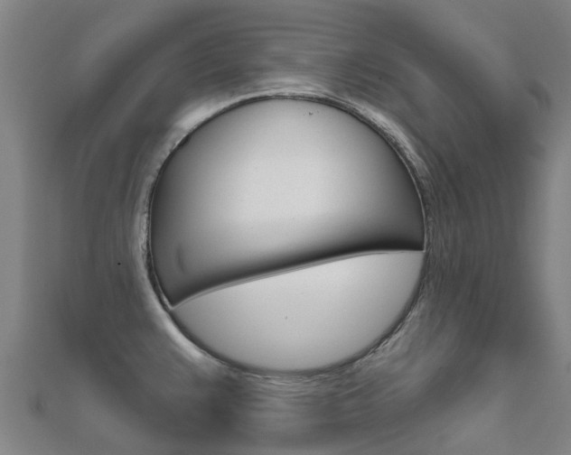 X0000112431383200908141102
