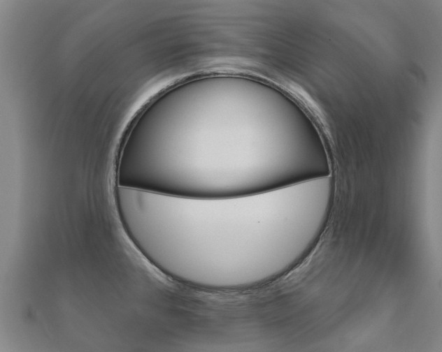 X0000112431384200908141102