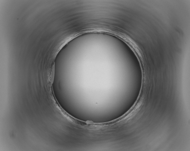 X0000112431385200908141102