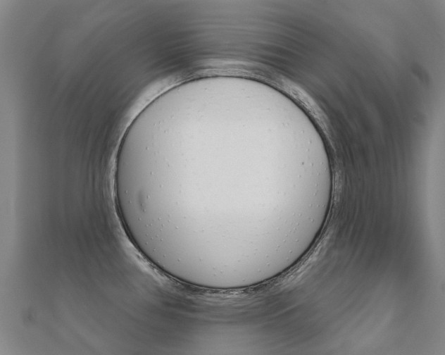 X0000112431386200908141102