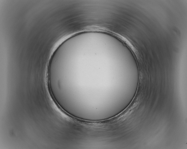 X0000112431387200908141101