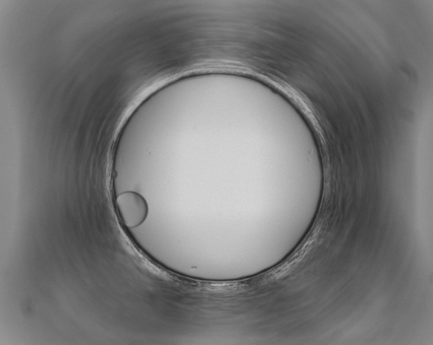 X0000112431390200908141101