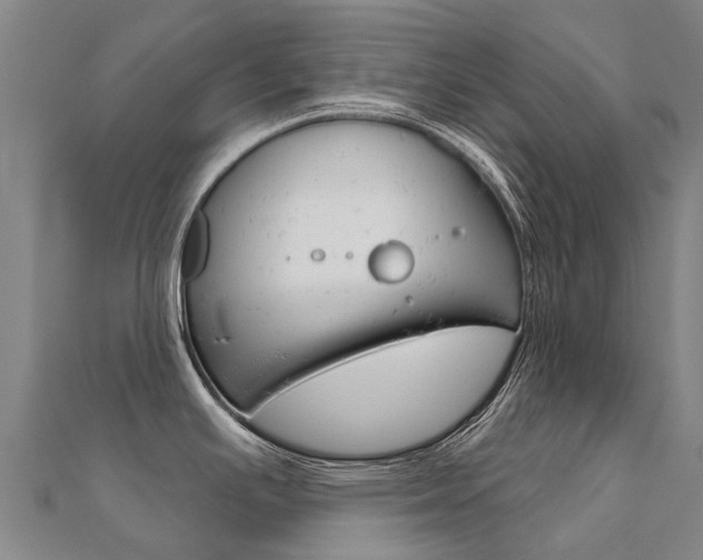 X0000112431391200908141101